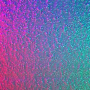 Meet your Posher, Sandy